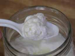 foods to boost immune system