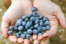 best antioxidant foods